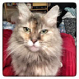 Meet your Posher, Margie